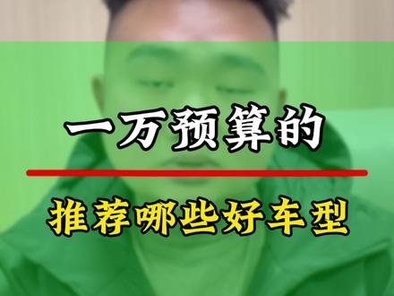 预算只有一万、到底能买到哪些好车型呢#二手车 #汉川二手车 #豹哥说车 #一万二手车 #万元二手车