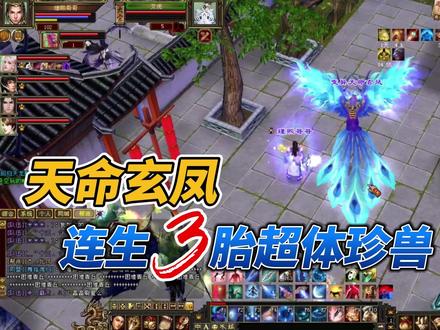 记录生3胎超体体力珍兽-天命玄凤 #游戏精彩时刻 #天龙八部怀旧服 #游戏日常