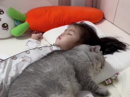 英国月嫂的带娃日记#猫和孩子 #猫咪带娃 #猫为什么对小孩这么好