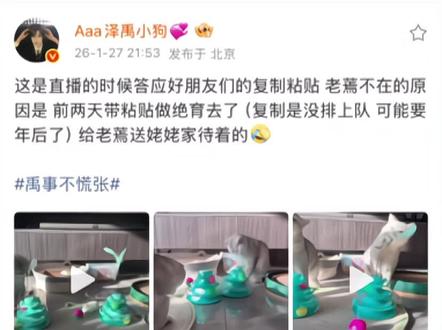 不准欺负老奶#娱乐 #猎奇 #猫