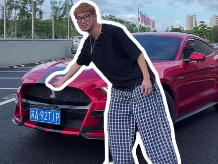 价格在视频最后#野马 #蛇标野马 #性能车