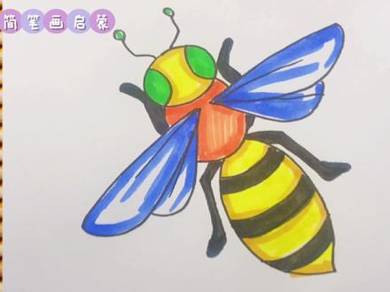 儿童简笔画入门,一只大黄蜂,看到它你害怕吗?