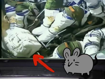 太空小鼠返回地球状态良好 【#太空小鼠返回地球状态良好 】报告地球!在太空“出差”近两周的4只小鼠宇航员,已跟随神舟二十号航天员乘组安全到家!目前小鼠状态良好,已经开始“干饭”啦!接下来,科学家们将对它们展开更多研究,深入了解太空对生物的影响,为未来的太空探索提供重要数据!小鼠在太空的生活遇到了哪些挑战?生活习惯有哪些变化?戳视频了解!勇敢鼠鼠,欢迎回家!#航天鼠回地球吃超大果冻