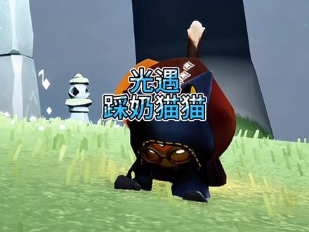 踩奶猫猫动作教程 #光遇 #光遇追光计划