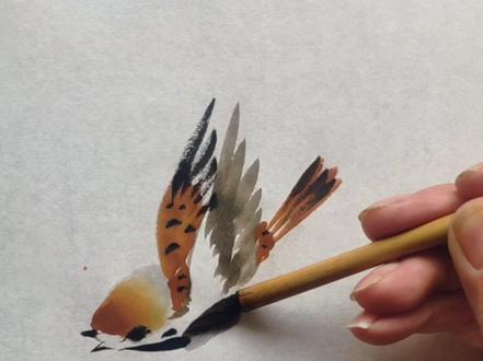 画飞翔小麻雀#写意花鸟 #国画教程 #感谢抖音