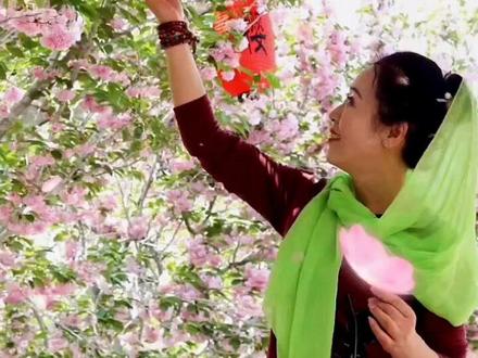 抖音新特效:点【花瓣飘动】进去只需一张照片即可。@抖音小助手