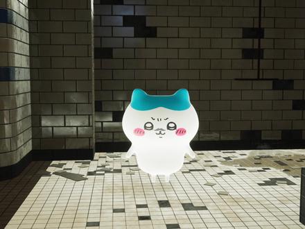 多吃一次吧#抽象#小八#chiikawa #乌萨奇#二次元