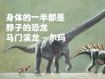 它的身体的一半都是脖子。
它是巨大的蜥脚类恐龙。但和同类成员相比,它的身体略显狭窄,大部分都被细长的脖子和尾巴所占据。
#恐龙 #古生物 #科普 #恐龙博物馆 #神奇动物在抖音 #科学艺术