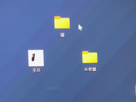 米老鼠…..真棒!#萝卜纸巾猫咪#大笨猫#开门猫咪#电脑桌面