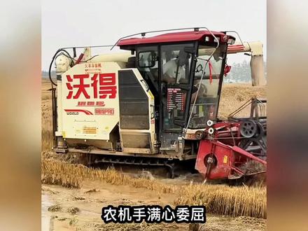 谁也没想到,本该同心抗灾的麦收季,最后闹得两败俱伤#麦收季 #湖北麦收#收割机#新闻热点