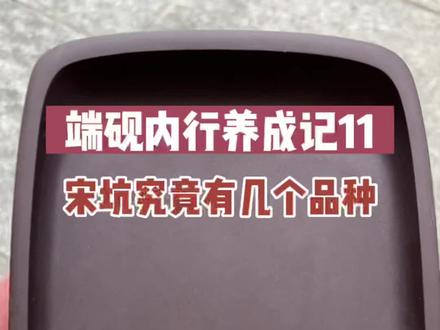 原来宋坑也有这么多种类#端砚 #砚台