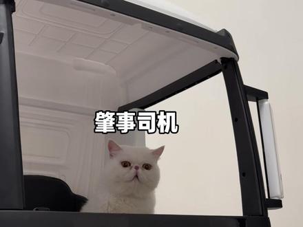 不好!遇到真大运了! #有男生会拒绝这个玩具吗