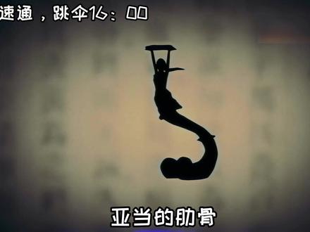 ⚡甲方:?⚡ #搞笑 #一米长的虫草