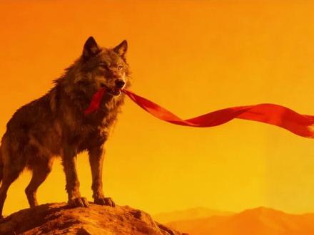 《重返狼群》:“生命的答案:格林的血脉,仍在草原上奔腾”!“格林之后:一个狼王,与它永不落幕的草原”!#情感共鸣#重返狼群#能量#读书#