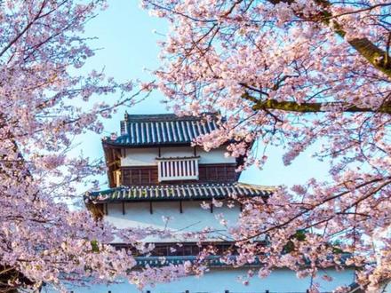 2026年日本赏樱时期与地点 #日本樱花季#2026樱花季#日本赏樱#赴一场樱花之约#日本旅游