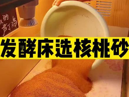 养芦丁鸡一定要用这个核桃砂发酵床,干净好打理,鸡粑粑一筛就干净了,太绝了#芦丁鸡 #芦丁鸡养殖