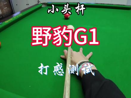 你们觉得G1如何兄弟们?#台球测评 #台球 #台球教学 #野豹g1 #小鹤台球器材