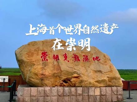 我们成功了!上海首个#世界自然遗产 在#崇明 !