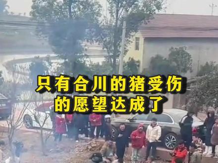 博主呆呆喊话按猪,网友跨越100公里的距离,只为一口刨猪汤#呆呆 #刨猪汤 #合川文旅 #按猪 #过年氛围提前搞起来了