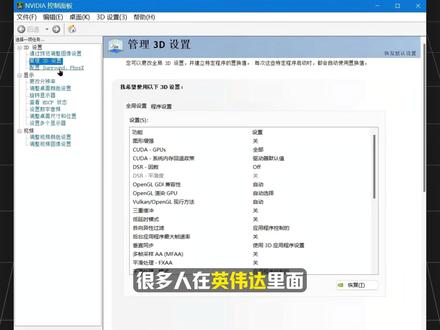着色器缓存大小到底是什么?又该怎么设置?? #diy电脑 #科技资讯 #英伟达 #电脑知识 #黑神话悟空