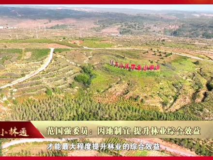 范国强委员:因地制宜,提升林业综合效益#2024全国两会