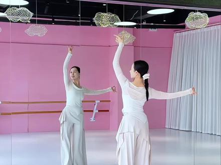 “所谓有求而不得 人心私塾” 《精卫》0.8倍镜面背面分解口令教学#精卫 #敦煌舞挑战 #敦煌舞#零基础学舞蹈 #背面教学