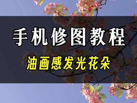 一起来学习醒图制作油画感花朵!#手机修图 #醒图修图 #油画感花朵