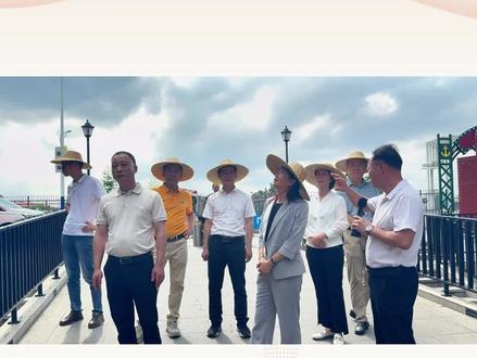 揭阳市副市长许剑芒莅揭西棉湖调研