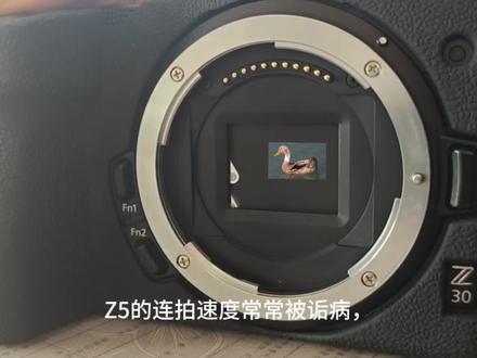 致敬传奇连拍王#尼康#z30 #摄影#摄影约拍