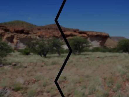 平头哥终极眼睛王蛇 #蜜獾平头哥 #眼镜蛇 #动物