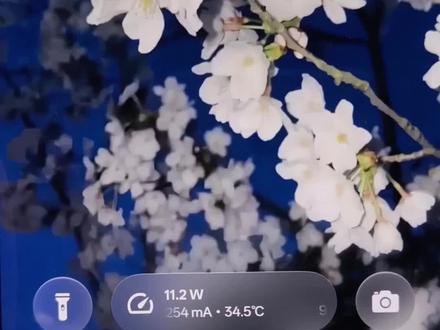 ColorOS息屏充电岛教程来啦! 只要有流体云就能用~
#金标ColorOS #流体云 #coloros16 #coloros #oppo