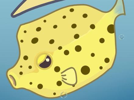 #海洋生物 #科普 鱼界‘二哈’箱鲀#神奇的动物在抖音 #抖音小助手我要上热门