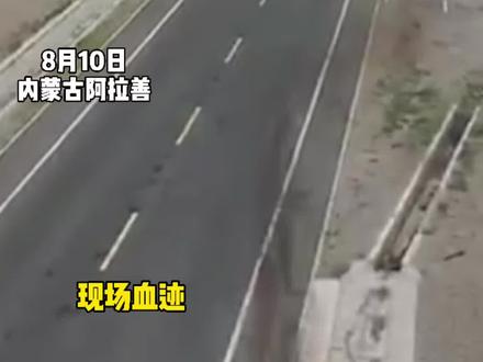 #于月仙 车祸现场曝光,车头严重变形,车顶被掀开,四人均系安全带#于月仙因车祸逝世