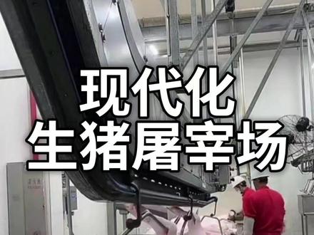 今天让你见证一下什么样的屠宰厂可以实现650头的制晕量~ #工厂实拍视频 #屠宰场 #生猪屠宰 #流水线 #猪肉