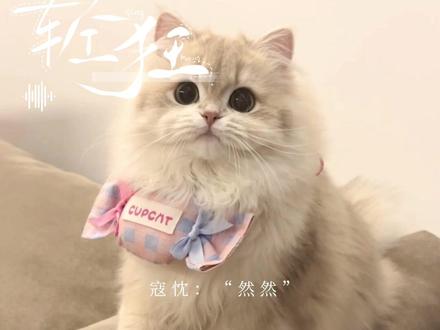 表白名场面l#轻狂#寇忱#霍然 字素:@mu逾