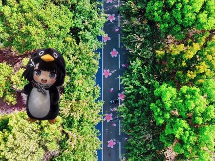 亳州市教育局发布关于中小学春秋假期公告!#淮中文旅 #淮中印象 #中小学春秋假 #咕咕嘎嘎