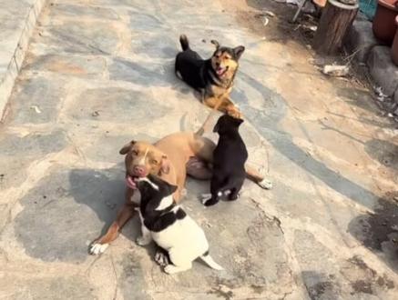 世界之大 为何我们相遇 #骏良
#骏良和他的朋友们