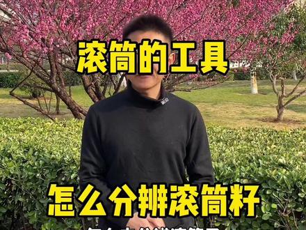 小金刚滚筒籽的详细介绍,锻炼眼力是避免吃药的关键!#金刚菩提 #文玩手串 #文玩爱好者 #小金刚 #文玩人