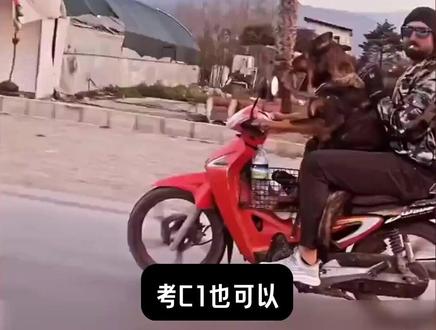 兄弟你切记布鲁斯考的是c1 #驾照 #科目一 #汽车