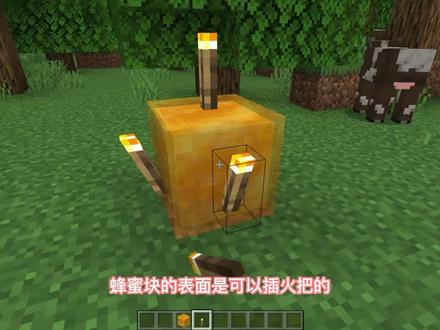 我的世界:Java VS Bedrock #我的世界 #我的世界生存