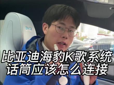 #比亚迪海豹 K歌系统的话筒怎么连接#海洋领航前兔无量 #新能源汽车