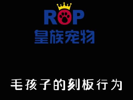 你知道动物刻板行为是什么吗?#科学养宠攻略 #抖in萌宠计划 #宠物知识 #抖音宠物医生 #抖音共创