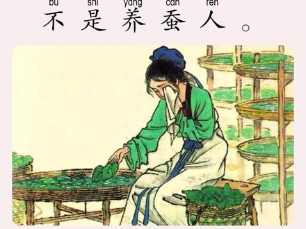 昨天我进城去卖丝,回来时泪水湿透了手巾。
为什么这么伤心?我看到了浑身穿绫罗、着绸缎的富人,他们竟没有一个是养蚕的人。蚕妇 张俞