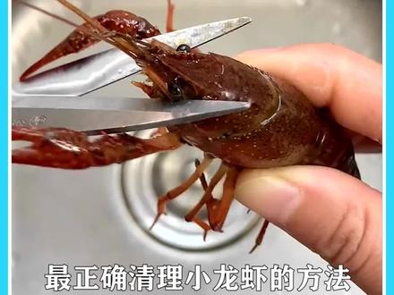 简单几步教你如何正确清理小龙虾#生活小妙招 #小龙虾清洗