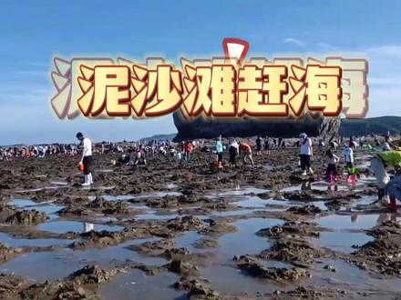五一假期准备去海边玩,赶海全攻略,赶海必备工具有哪些?#赶海 #五一赶海 #五一赶海时间表 #赶海工具