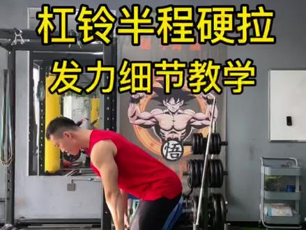 杠铃半程硬拉细节教学#健身干货 #背部训练 #杠铃半程硬拉