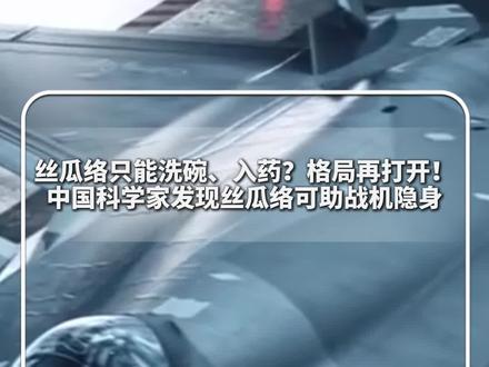 #每日新知 |丝瓜络只能洗碗、入药?格局再打开!中国科学家发现丝瓜络可助战机隐身!网友:听完原理,以后刷碗都心存敬畏。#新华每日电讯