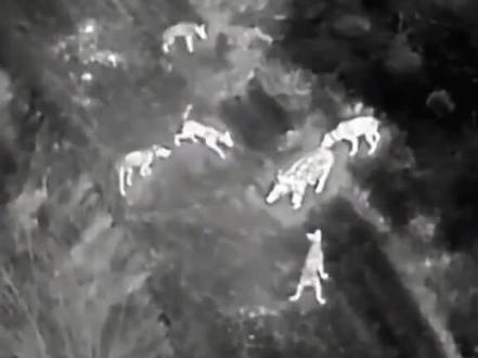 可惜你不看西北刀客,老八最后一战,听到它的名字,看到它最后一战视频,眼泪就会掉下来,你怎么那么犟呢,不去挂了不行吗😭😭😭