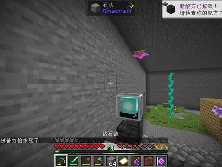 鸡岩石界完结撒花!!#我的世界#雾雨晚枫#MC