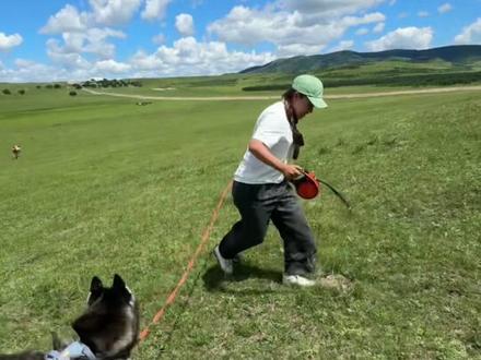 托大鹅的福,在内蒙玩的很值 #万物可爱计划 #狗狗狗夏天出发咯